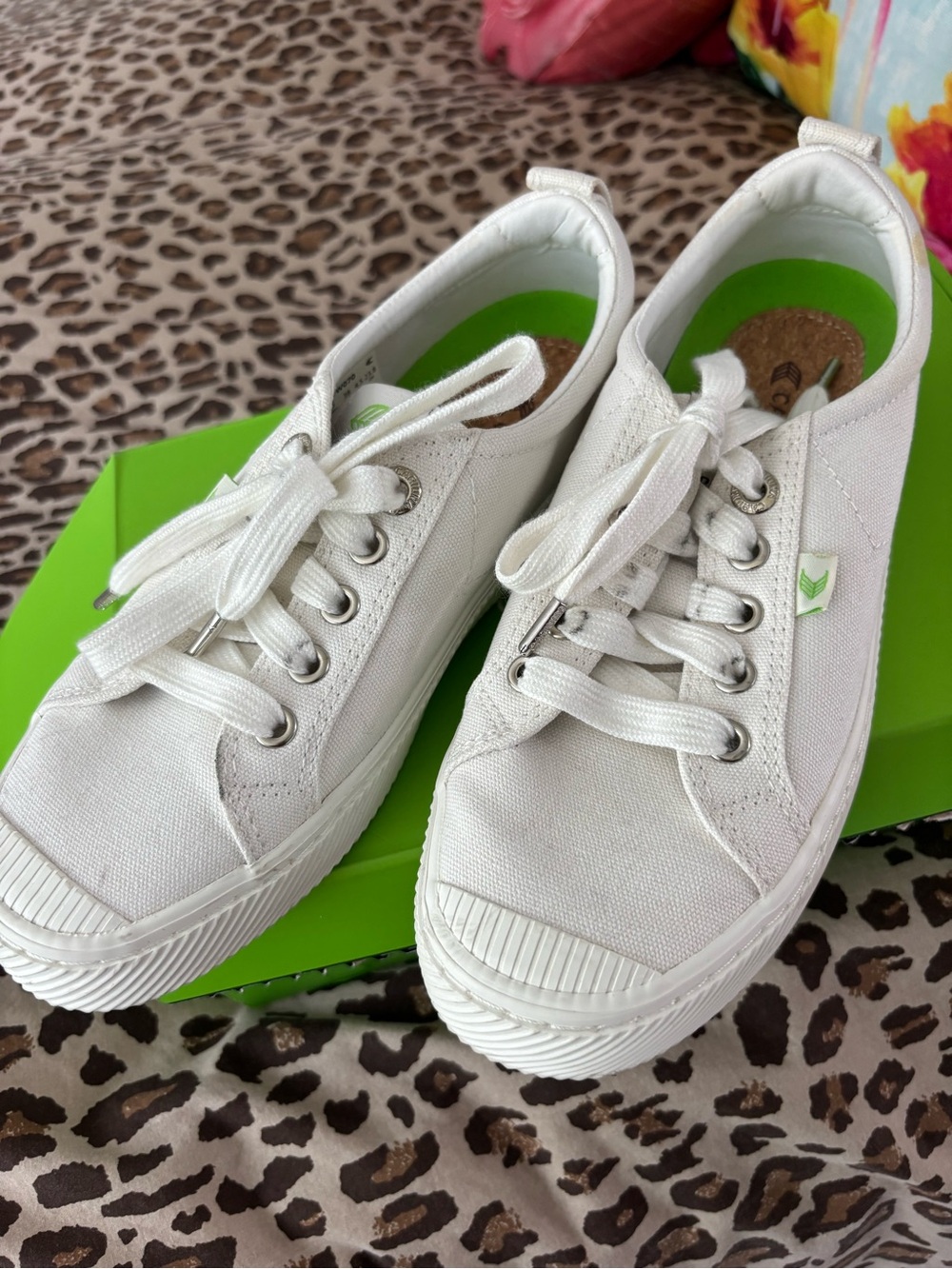 Cariuma Green and White Shoe Box with Label